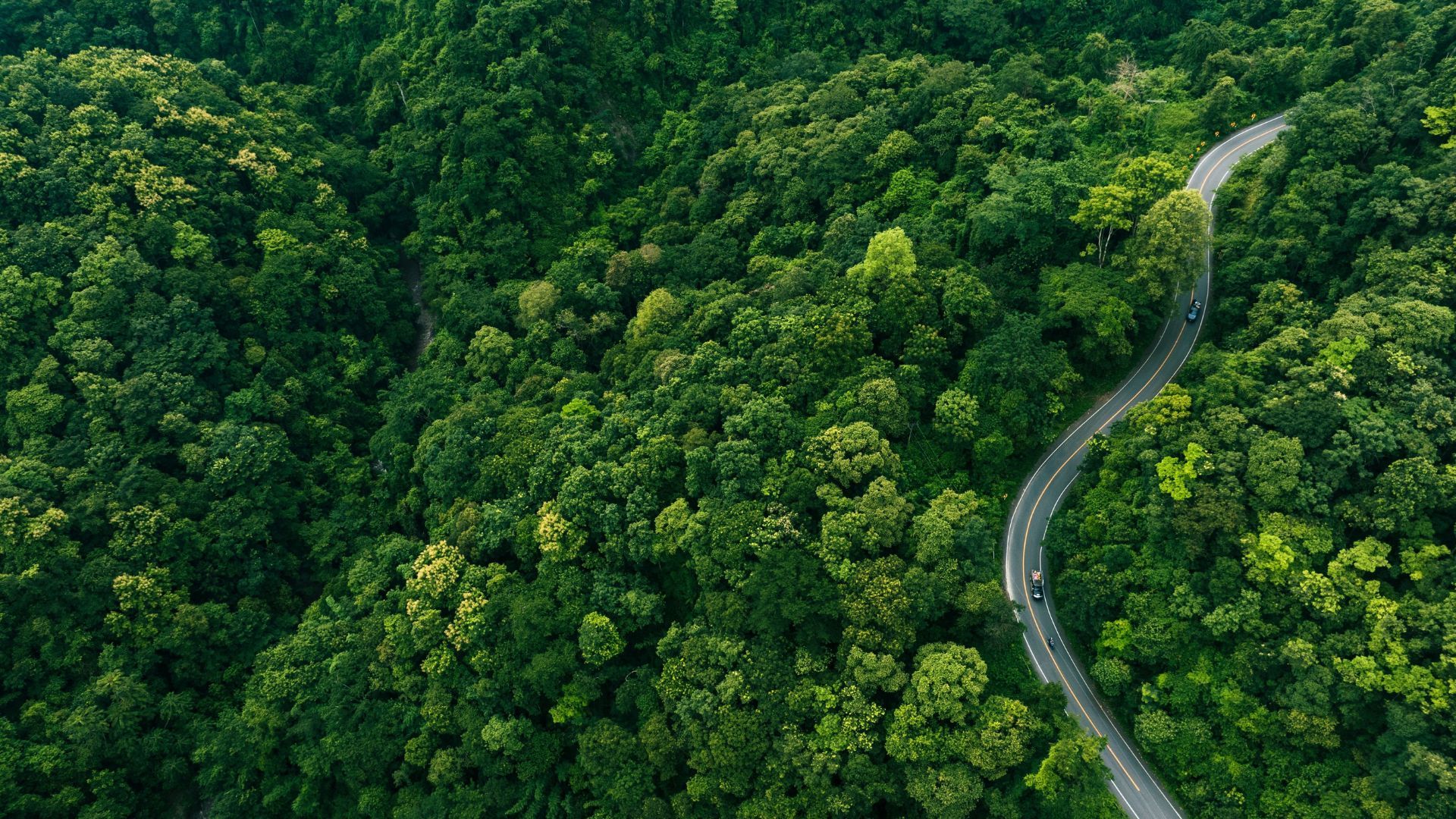 Luftaufnahme einer kurvenreichen Straße durch dichten grünen Wald, zwei Fahrzeuge sichtbar – eines nahe der Kurve und eines weiter hinten – umgeben von üppiger Vegetation.